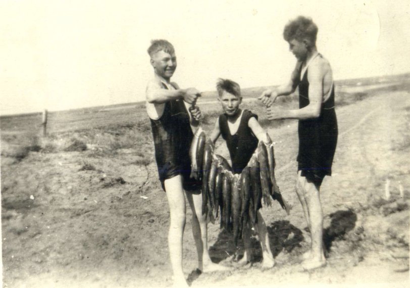 Three young boys show off their big catch.  The boy on the far right could be Earnest (or Ernest) Johnston.  Otherwise the place, location, and photographer are unknown (likely taken in central Nebraska).
On a side note, notice the dark faces and pale legs.  These boys clearly worked outside wearing overalls and jeans.  And the pale band on their forehead shows they wore hats.
